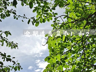 逾期透支显示1和2 逾期透支显示1和2