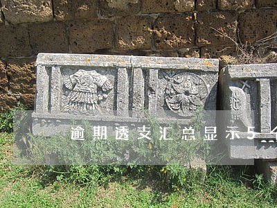 逾期透支汇总显示5个月 逾期透支汇总显示5个月