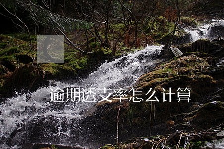 逾期透支率怎么计算 逾期透支率怎么计算