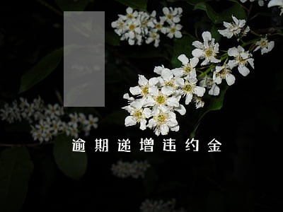 逾期递增违约金 逾期递增违约金