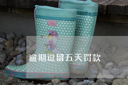 逾期逗留五天罚款