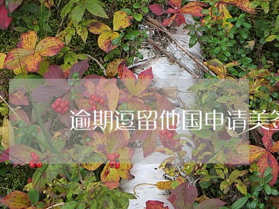 逾期逗留他国申请美签 逾期逗留他国申请美签