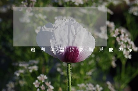 逾期逗留会影响其他国家签证吗 逾期逗留会影响其他国家签证吗