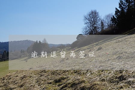 逾期逗留再签证 逾期逗留再签证