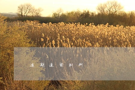 逾期逗留判刑 逾期逗留判刑