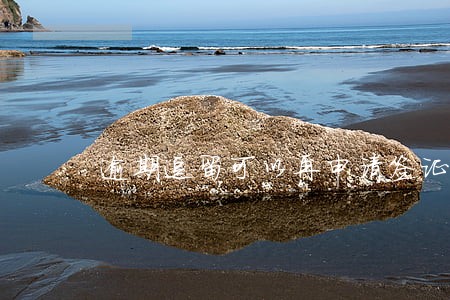 逾期逗留可以再申请签证吗 逾期逗留可以再申请签证吗