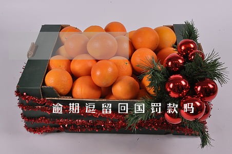 逾期逗留回国罚款吗 逾期逗留回国罚款吗