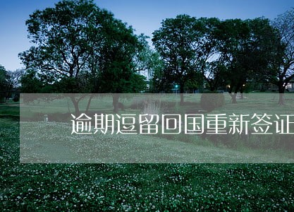 逾期逗留回国重新签证 逾期逗留回国重新签证