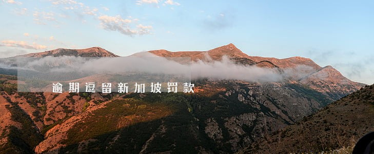 逾期逗留新加坡罚款 逾期逗留新加坡罚款