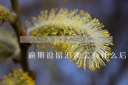 逾期逗留港澳会有什么后果 逾期逗留港澳会有什么后果