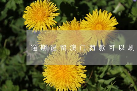逾期逗留澳门罚款可以刷卡吗 逾期逗留澳门罚款可以刷卡吗