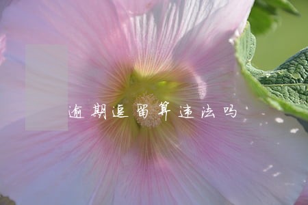 逾期逗留算违法吗 逾期逗留算违法吗