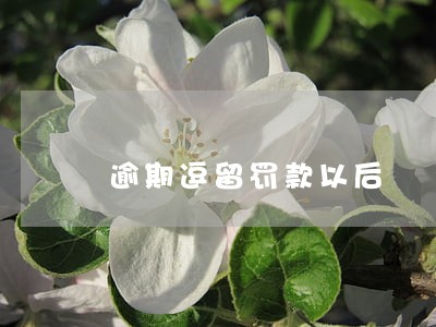逾期逗留罚款以后 逾期逗留罚款以后