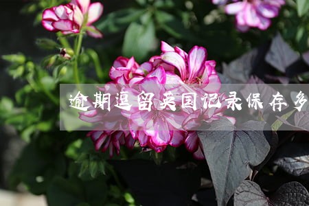 逾期逗留英国记录保存多少年 逾期逗留英国记录保存多少年