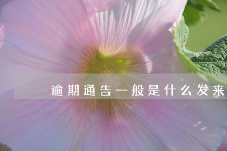 逾期通告一般是什么发来的 逾期通告一般是什么发来的