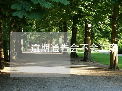 逾期通告会不会立案 逾期通告会不会立案