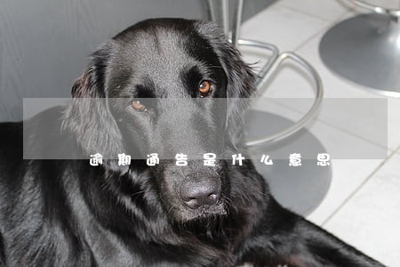 逾期通告是什么意思 逾期通告是什么意思