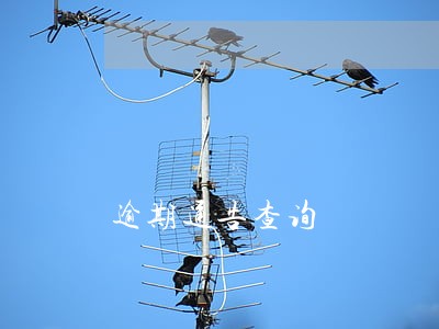 逾期通告查询 逾期通告查询