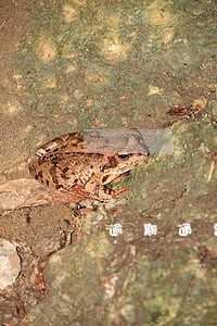 逾期通告涵有用吗
