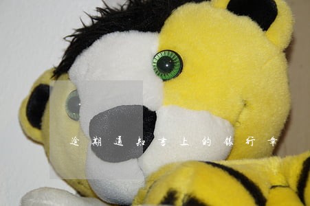 逾期通知书上的银行章 逾期通知书上的银行章