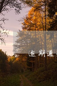 逾期通知人寿险不赔偿