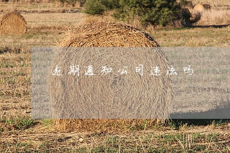 逾期通知公司违法吗
