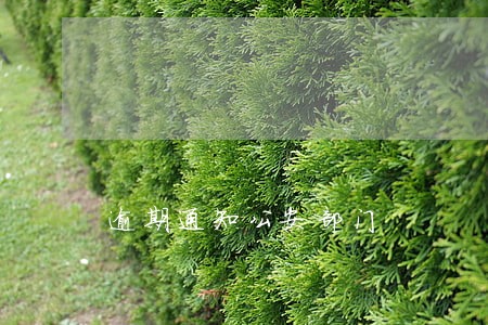逾期通知公安部门