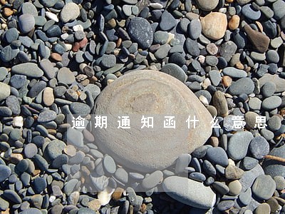 逾期通知函什么意思