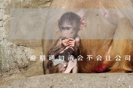 逾期通知函会不会让公司签收