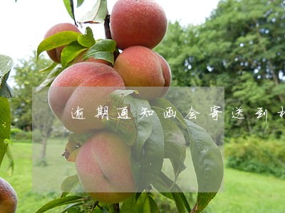 逾期通知函会寄送到村委吗