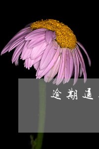 逾期通知函图