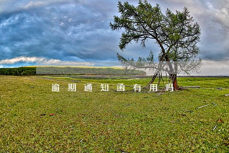 逾期通知函有用吗