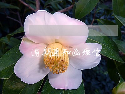 逾期通知函短信