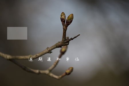 逾期通知单位 逾期通知单位
