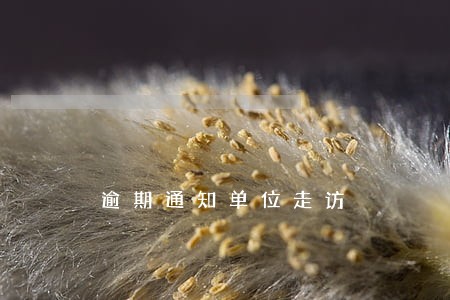逾期通知单位走访
