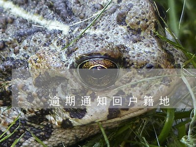 逾期通知回户籍地 逾期通知回户籍地