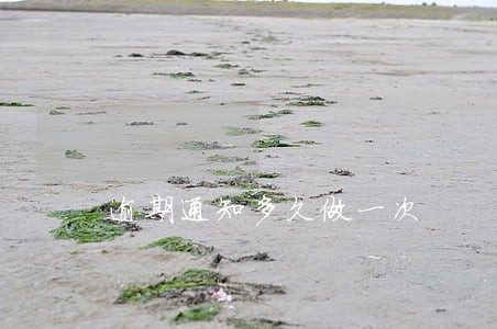 逾期通知多久做一次