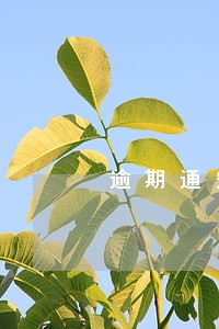 逾期通知家人 逾期通知家人