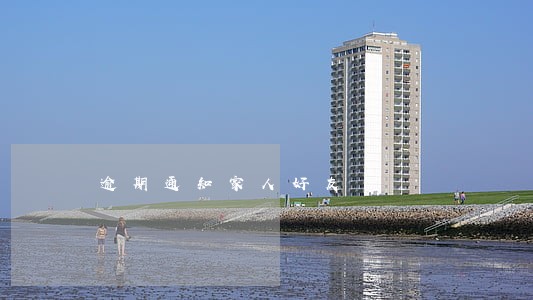 逾期通知家人好友 逾期通知家人好友