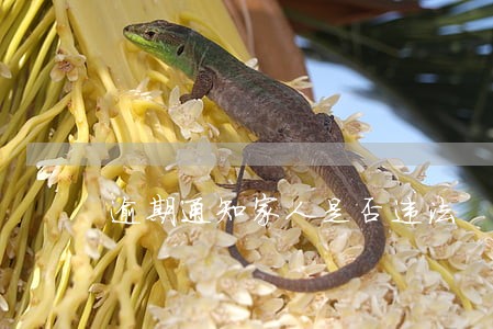 逾期通知家人是否违法 逾期通知家人是否违法