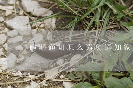 逾期通知怎么避免通知家人 逾期通知怎么避免通知家人