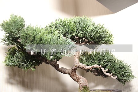 逾期通知接房可退吗 逾期通知接房可退吗
