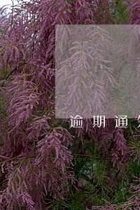 逾期通知短信发来哪个平台 逾期通知短信发来哪个平台