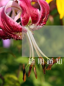 逾期通知短信是真是假 逾期通知短信是真是假