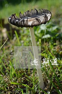 逾期通知短信是真的假的 逾期通知短信是真的假的