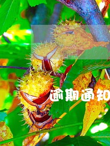 逾期通知短信退订 逾期通知短信退订