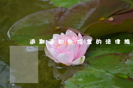 逾期通知补偿金的法律依据 逾期通知补偿金的法律依据