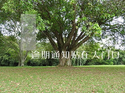 逾期通知贴在大门口 逾期通知贴在大门口
