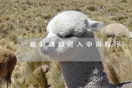 逾期通知进入申诉程序 逾期通知进入申诉程序