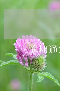 逾期通知逐户派发合同照片 逾期通知逐户派发合同照片